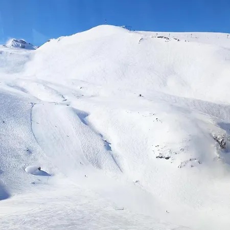 Le Scandinave * Les Deux Alpes