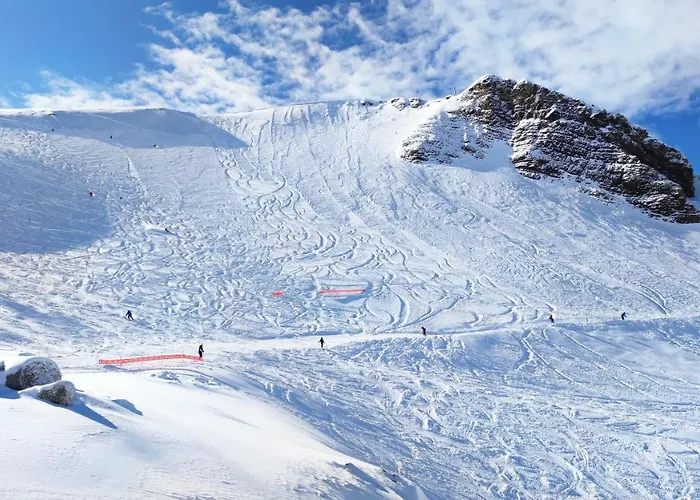 Apartman Le Scandinave *