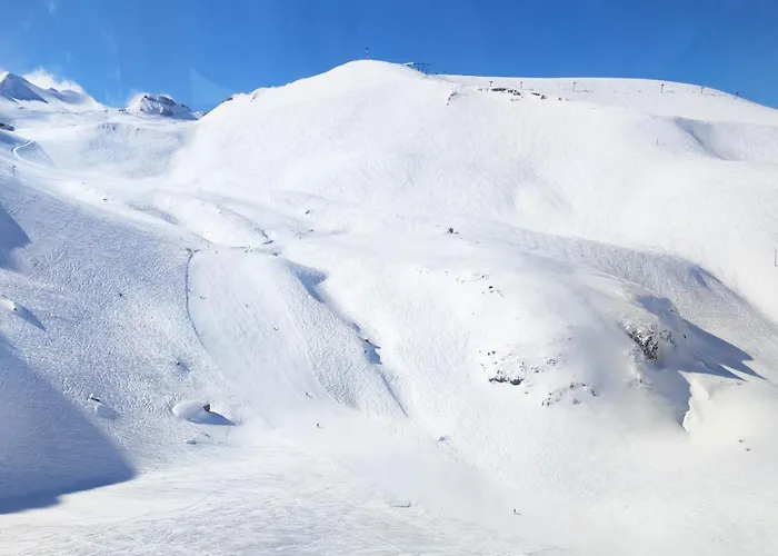 Le Scandinave * Les Deux Alpes