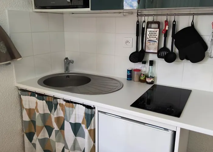 Le Scandinave Les Deux Alpes