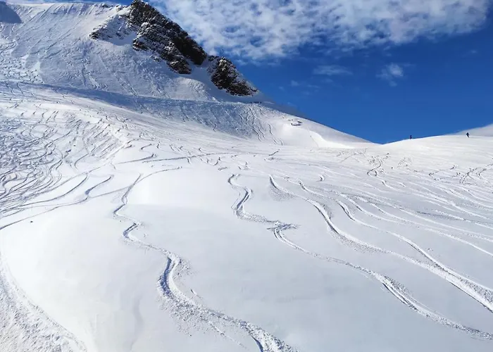 Le Scandinave Les Deux Alpes