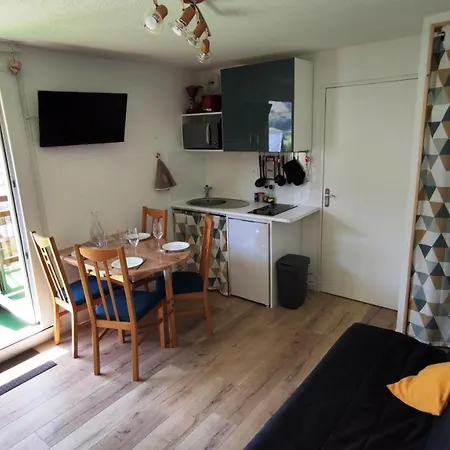 Le Scandinave * Les Deux Alpes