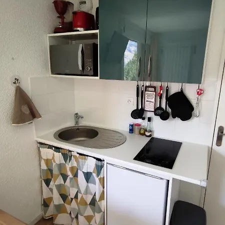 Le Scandinave Appartement Les Deux Alpes
