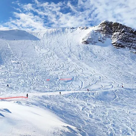 Appartement Le Scandinave *