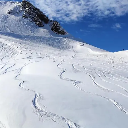 Le Scandinave Les Deux Alpes